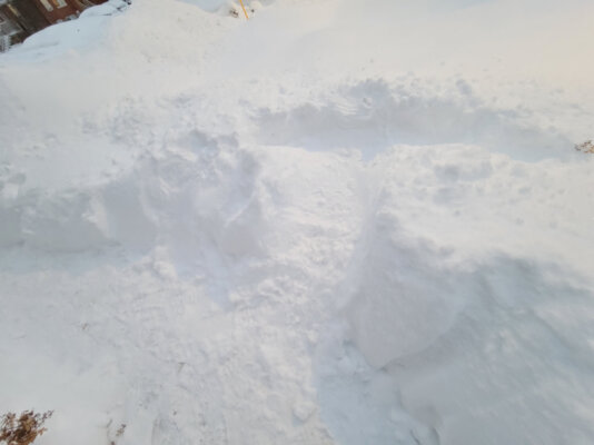 Impressions in the Snow